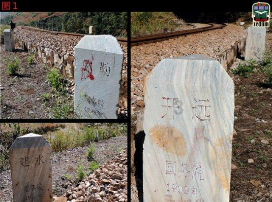 全民烧脑3去广告版